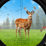 Deer Hunting 3D
